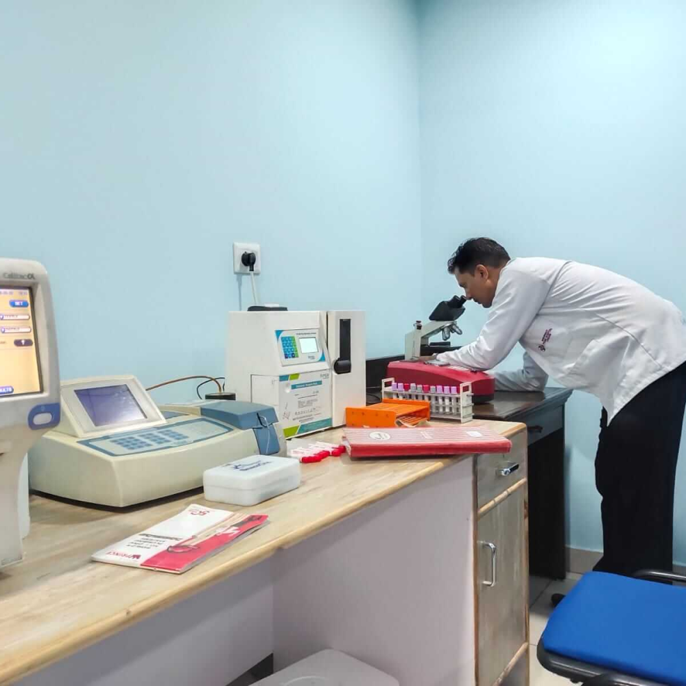 lab